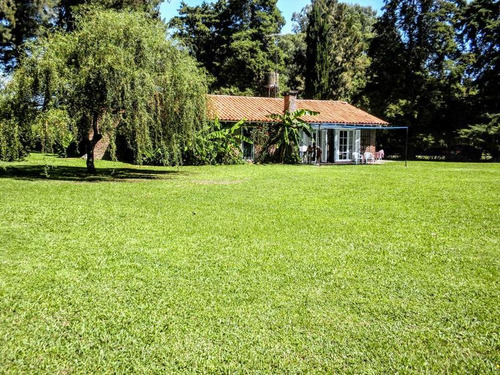 Imagen 22 de 30 de Retasada Venta Casa Quinta Internet -gran Lote 2835m El Remanso Arboleda 40mx72m