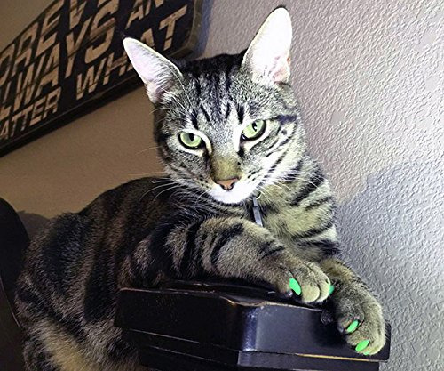 Tapa Uñas Suave Purrdy Paws 40 Pzas. Azul Brillo Gato