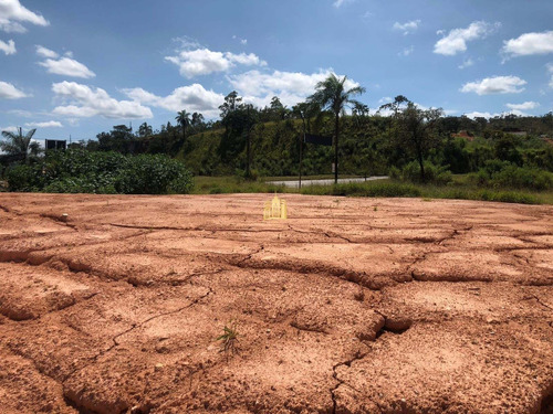 Imagem 8 de 14 de Terreno Na Br-040 - Te00506 - 70736923