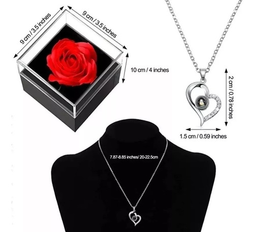 Rosa Eterna Real Preservada + Collar Te Amo En 100 Idiomas G