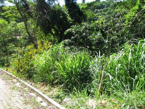 Imagem 5 de 5 de Terreno Ilhabela - Vista Para O Mar - Te0172 - 2614282