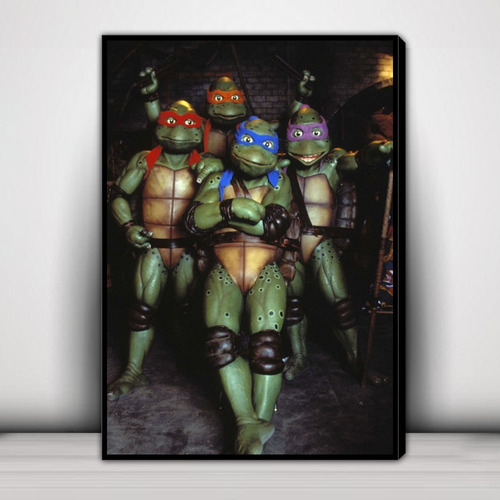 Cuadro Decorativo Tortugas Ninja Tmnt F987