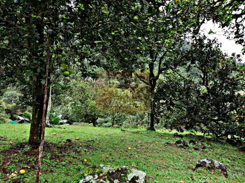 Pance, 21.000 M2, Finca En Venta