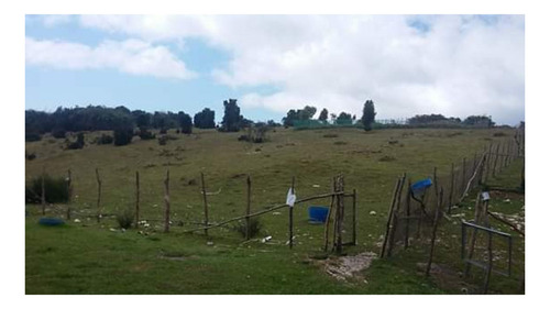Imagen 5 de 7 de Espectacular Precio Por Terreno De 10 Hectarea En La Hermosa