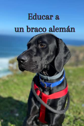 Educar A Un Braco Aleman: Libro De Adiestramiento Para Braco