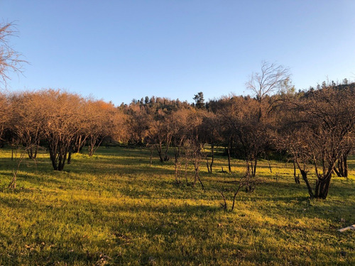 Imagen 19 de 22 de Lindos Sitios