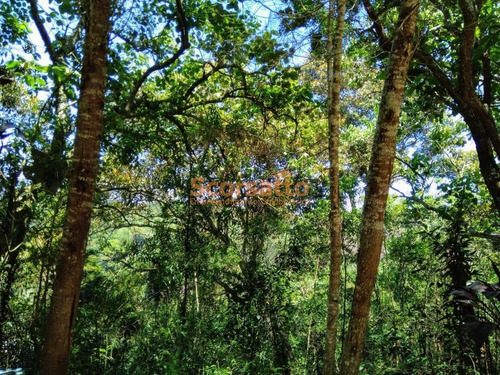 Imagem 12 de 15 de Chácara À Venda, Caputera, Cotia/sp - 3134
