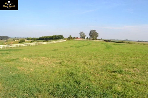Excelente Haras Em Piquerá Porto Feliz-sp À Venda - Ha00001 - 69229779