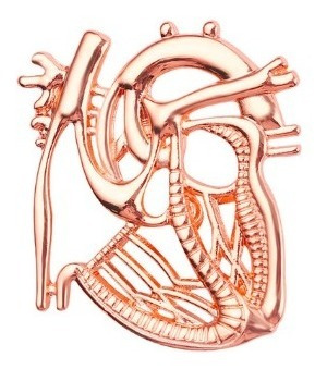 Pin Prendedor Medico Doctor Organo Corazon Anatomico Mod.125
