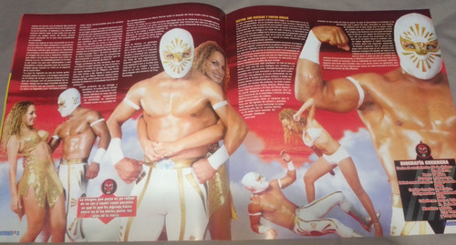 Revista Guerreros Del Ring Místico Lucha Libre (Usado)