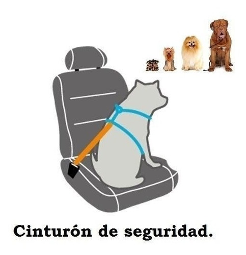 Correa Y Cinturón De Seguridad Para Auto 2 En 1 Para Perros