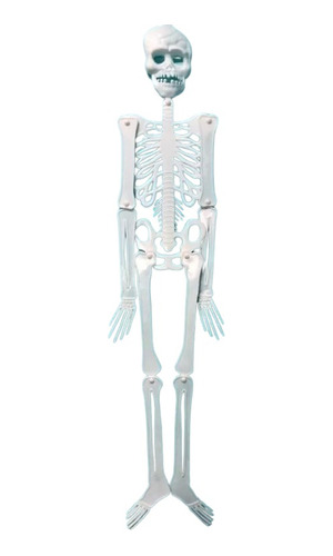 Esqueleto Articulado 90cm. Decoracion Halloween Chirimbolos