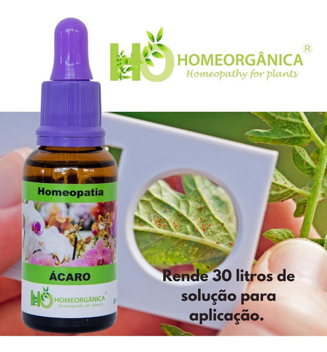 Homeopatia Para Ácaros Orquídeas E Plantas - 30ml