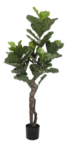 Ficus Lyrata De 150 Cm, Protección Uv , Vadell Home