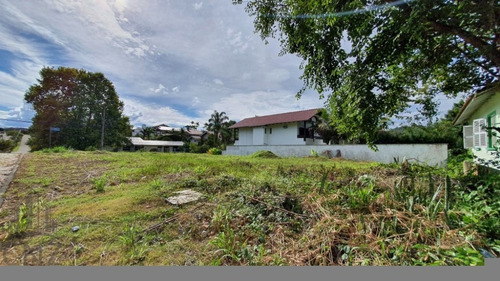 Terreno Jardim Maluche - Amplo - Plano - Lindo - Tr 211 - Tr 211