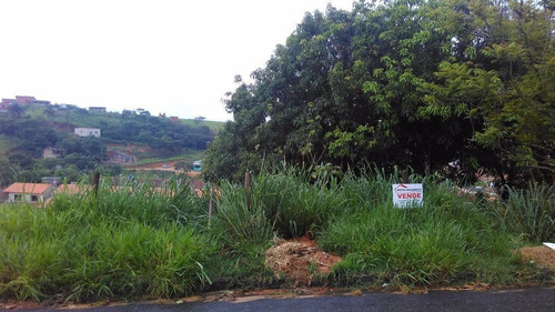 Imagem 3 de 7 de Área / Terreno / Lote De Terra Com 600 M², Jardim Das Acácia - 12717