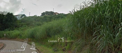Imagem 5 de 8 de Terreno Para Investimento Atibaia - 3.200m² - Te0210-1