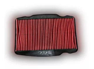 Filtro Aire Para Moto Cb190r-cb160f-dlx