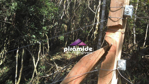 Imagem 4 de 13 de Terreno À Venda, 1500 M² Por R$ 350.000,00 - Centro - Santo Antônio Do Pinhal/sp - Te1378