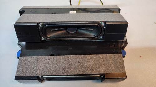 Bocinas Para Pantalla Samsung Un49mu6103f Bn96-35007a (Usado)