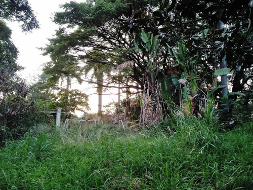 Imagen 4 de 17 de Terreno En Venta En Emiliano Zapata, Cuernavaca, Morelos