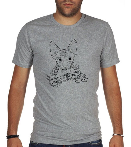 Remera De Hombre Gato Sphynx Is The New Black Dibujo