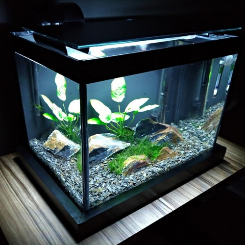 Imagem 6 de 6 de Lâmpada Germicida Uv-c 30w T8 Com Reator E Soquete 243nm