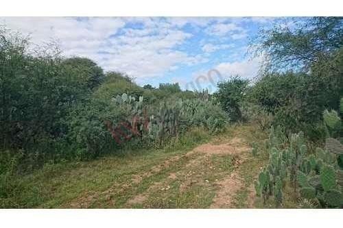 Imagen 21 de 25 de Venta Terreno 25 Mil M2 Cadereyta Queretaro Cerca De Peña De Bernal Tequisquiapan San Juan Del Rio Viñedos Quesos Planetario