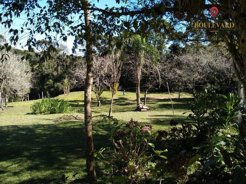 Imagem 15 de 18 de Chácara À Venda, 144000 M² Por R$ 1.200.000,00 - Palmitalzinho - Quatro Barras/pr - Ch0004