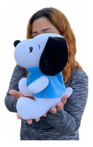 Perrito De Peluche Snoopy 25cm Perfumadito Y 3 Globos 