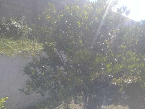 Chácara Ibiúna 1.000 Mts Casa, Piscina, Boa Localização !