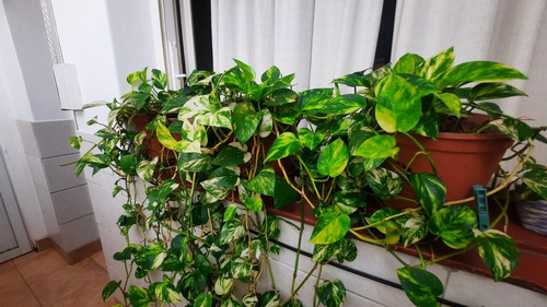 3 Amb Dep / Lav Luz Y Sol Venta Balvanera