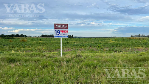 Venta - Campo - 19 Has - Sobre Ruta Nº191 - 100% Agricolas - San Pedro