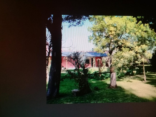 Imagen 5 de 28 de Casa Quinta En Brandsen, Importante Parque Y Arboleda!!!