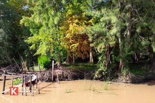 Venta De Fracción Con Costa Sobre Rio Paranacito
