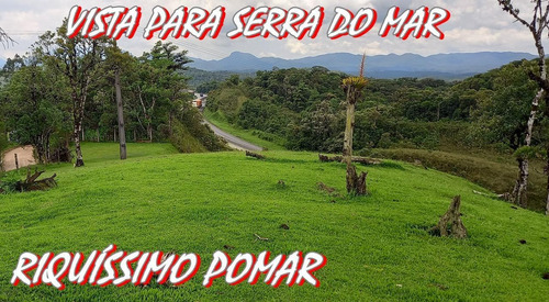 Imagem 1 de 15 de Chácara Para Venda Em São José Dos Pinhais, Área Rural De São José Dos Pinhais - Cha6607_1-2422868