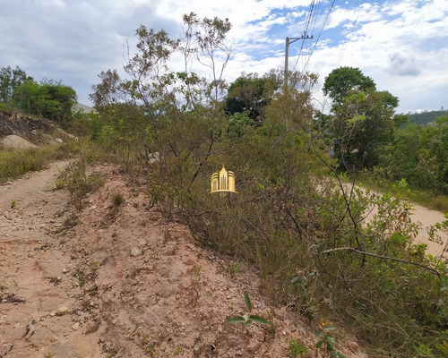 Imagem 5 de 10 de Lote No Bairro Parque Novo Ceasa - Esmeraldas - Te00336 - 68908874
