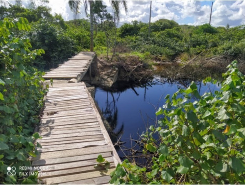 Imagem 8 de 10 de Terreno 400 Metros Da Praia C/ Licença Ambiental Itanhaém Sp