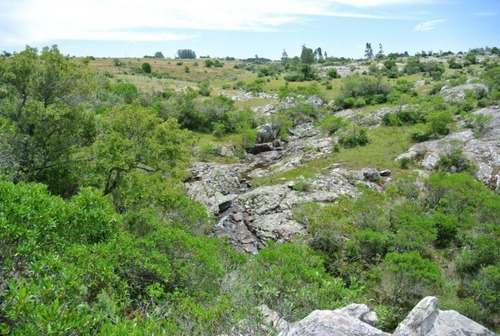 Quinta | Ruta 12 Y 5kms De Camino Vecinal