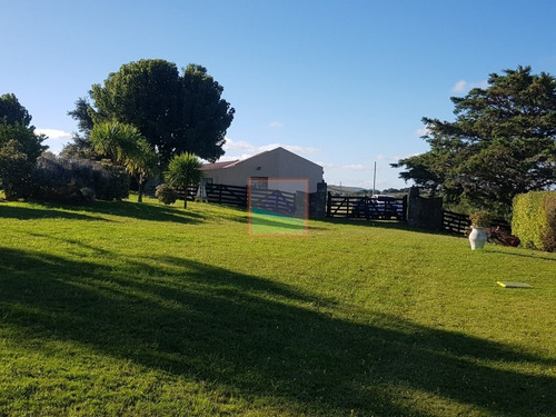 Imagen 3 de 14 de Campo En Carapé Maldonado, 267 Hás Con Casa