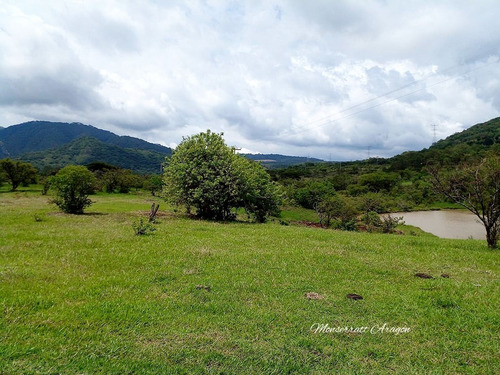 Increíble Terreno Con Manantial