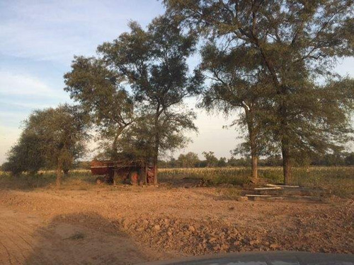 Imagen 7 de 18 de Venta Campo En Santiago Del Estero, Norte De Monte Quemado