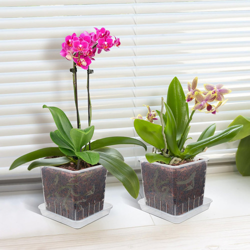 Jk Maceta For Orquídeas, Paquete De 5 Macetas De 5 Pulgadas