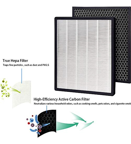 Paquete De 1 Paquete De Filtros True Hepa Y Carbón Activado