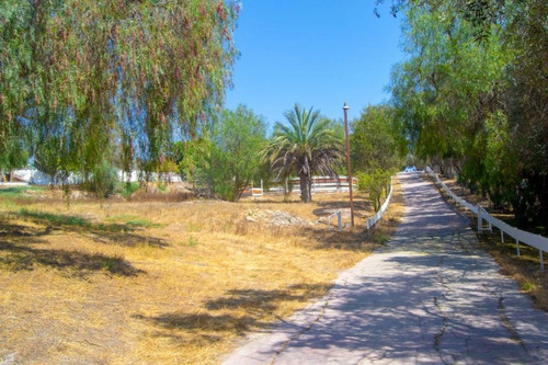 Imagen 12 de 30 de Renta De Rancho En La Gloria, Tijuana, B.c.