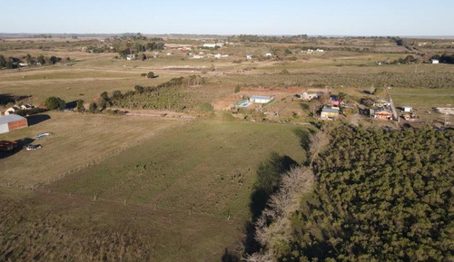 Imagen 7 de 8 de Amplio Terreno De 23x100 (2.446 M2) En Zona De Quintas, Cercano A Termas