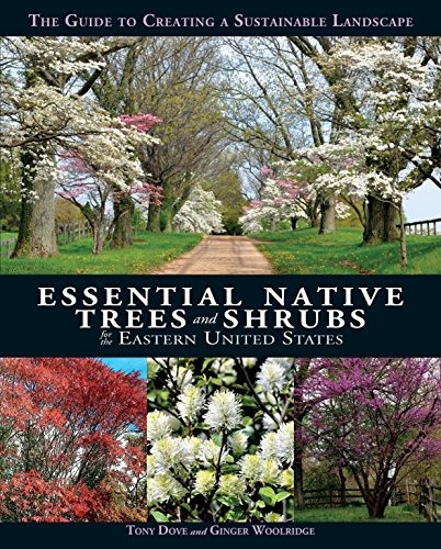 Essential Native Trees And Shrubs For The Eastern United Sta