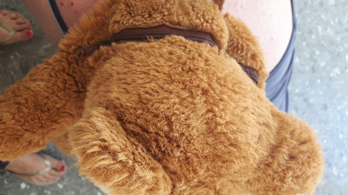 Mochila Peluche Oso