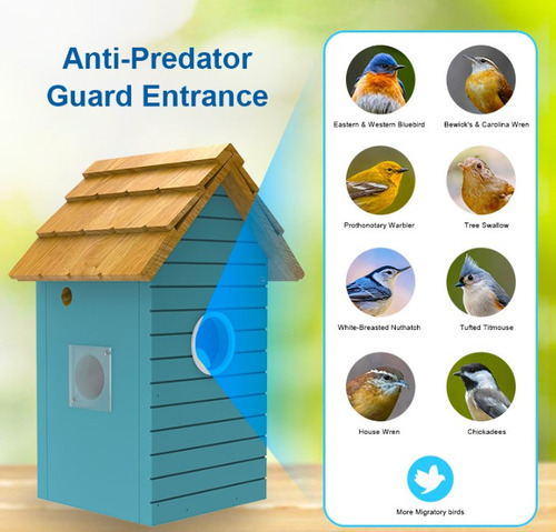 Jaula Para Pájaro Aves Pajarera Visual Con Cámara
