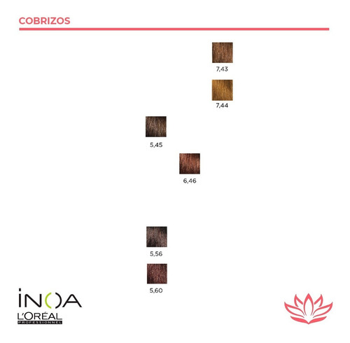 Imagen 5 de 6 de Tintura Inoa Sin Amoniaco Coloracion 60g Loreal X12 Unidades